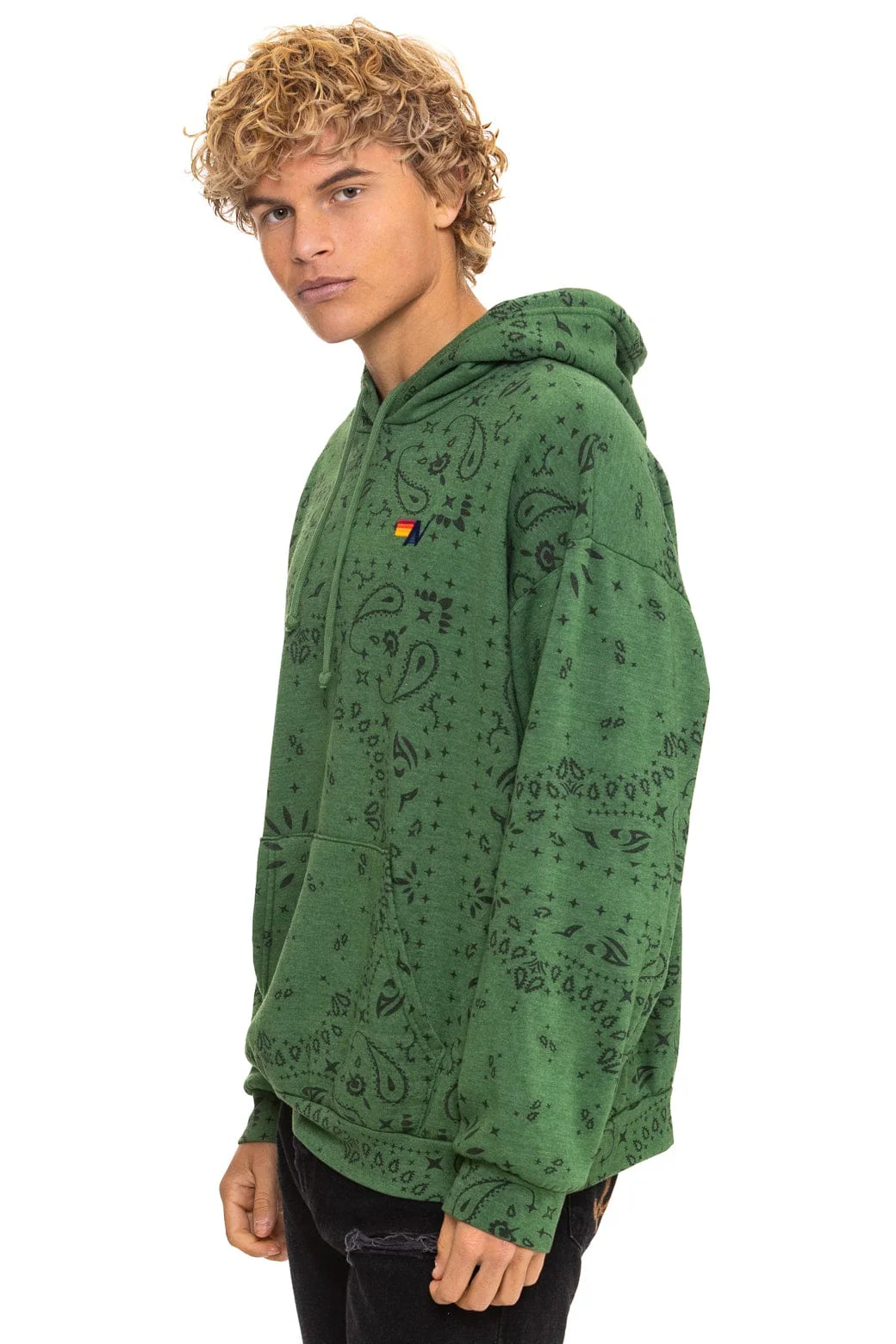 BANDANA RELAXED PULLOVER HOODIE - PALM - Image 4