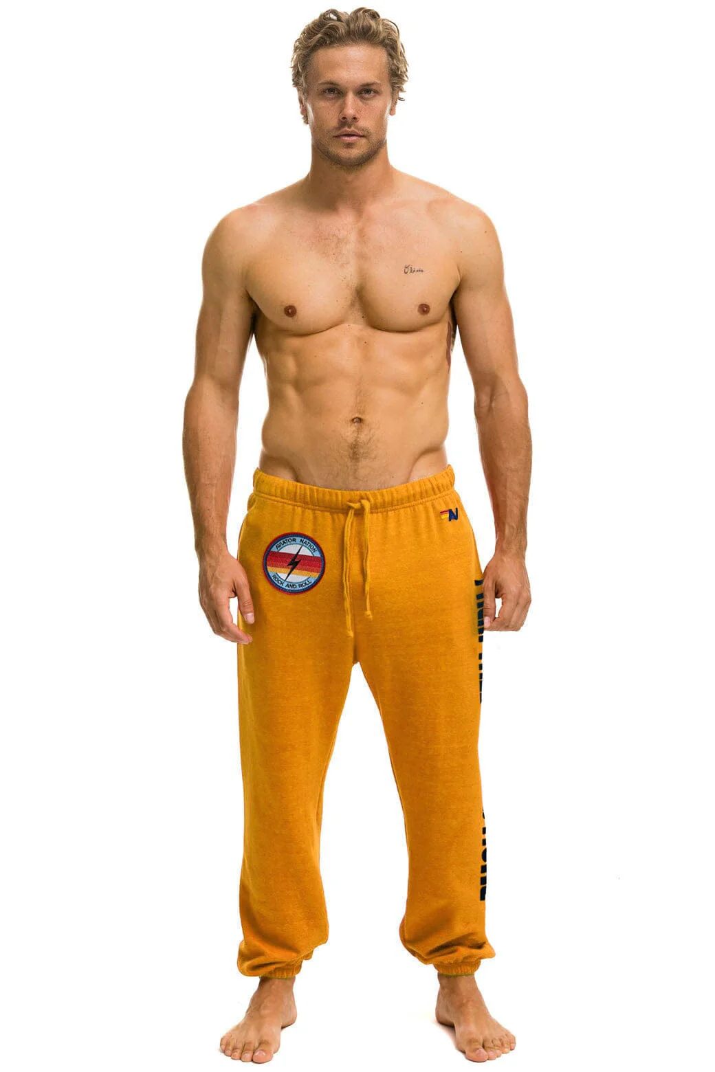 PALM TREE FESTIVAL MONTECITO 2025 UNISEX SWEATPANTS - GOLD - Image 2